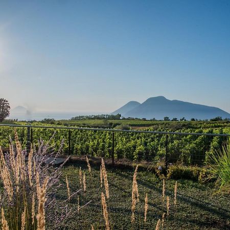 Tenuta Di Castellaro Winery & Resort 리파리 외부 사진