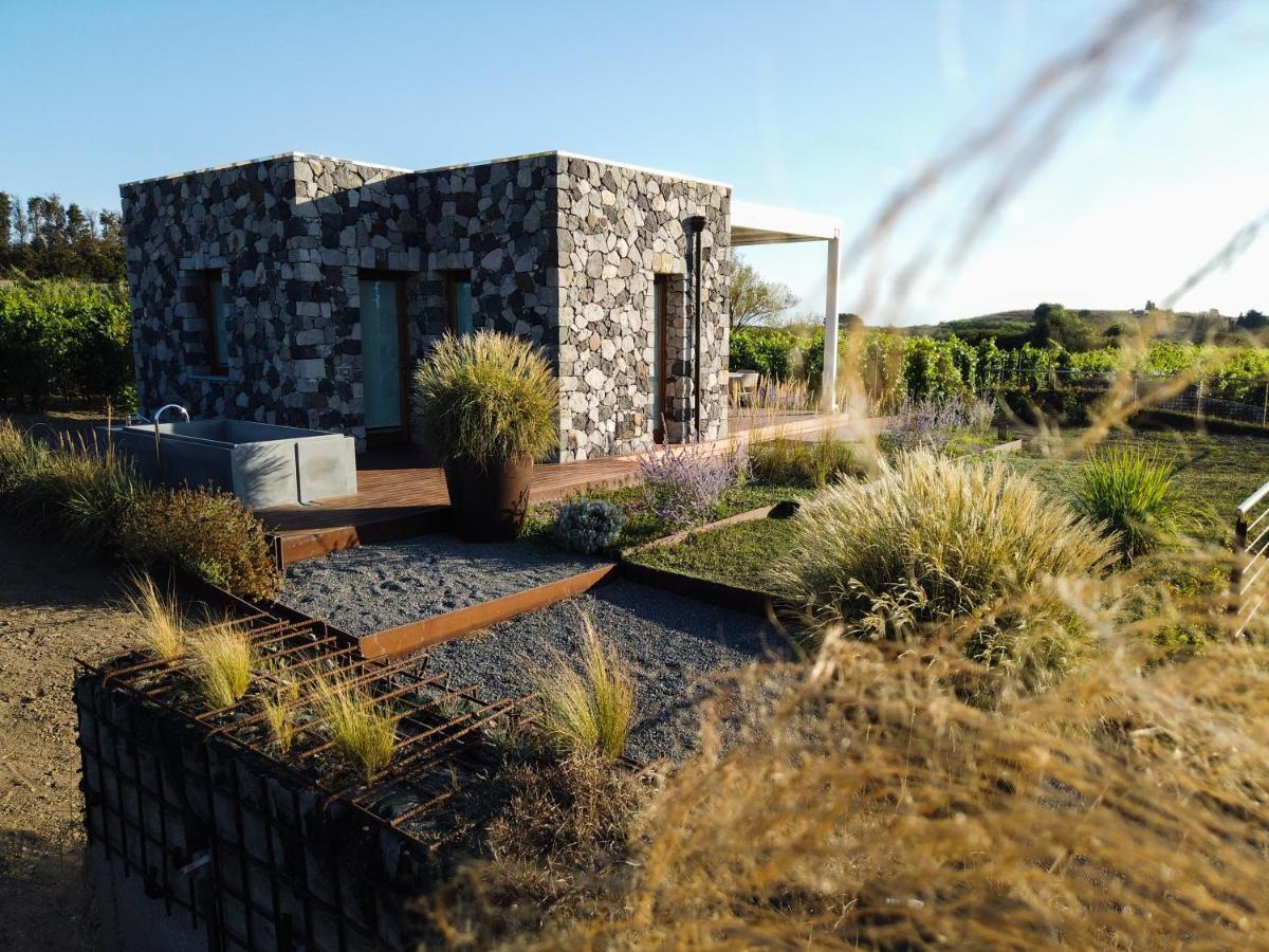 Tenuta Di Castellaro Winery & Resort 리파리 외부 사진