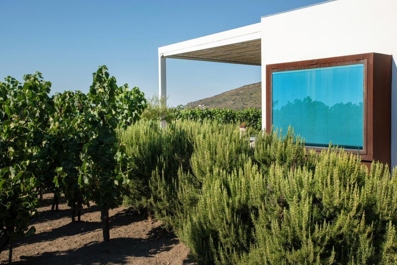 Tenuta Di Castellaro Winery & Resort 리파리 외부 사진