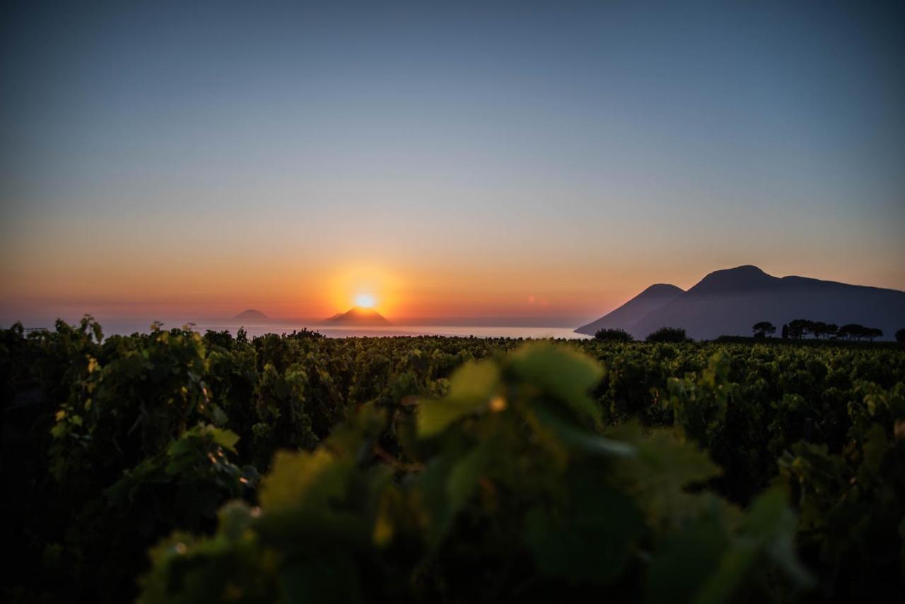 Tenuta Di Castellaro Winery & Resort 리파리 외부 사진
