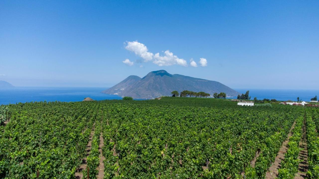 Tenuta Di Castellaro Winery & Resort 리파리 외부 사진
