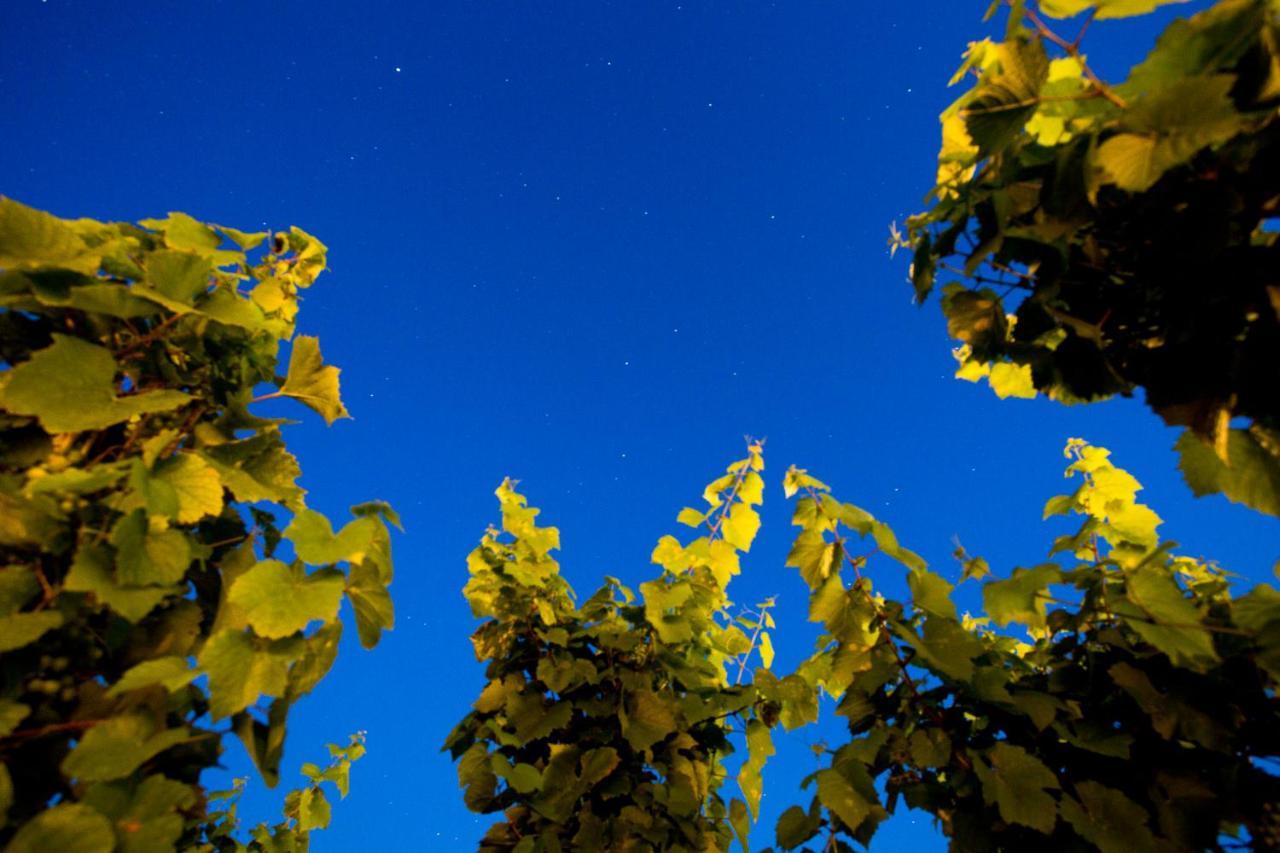 Tenuta Di Castellaro Winery & Resort 리파리 외부 사진